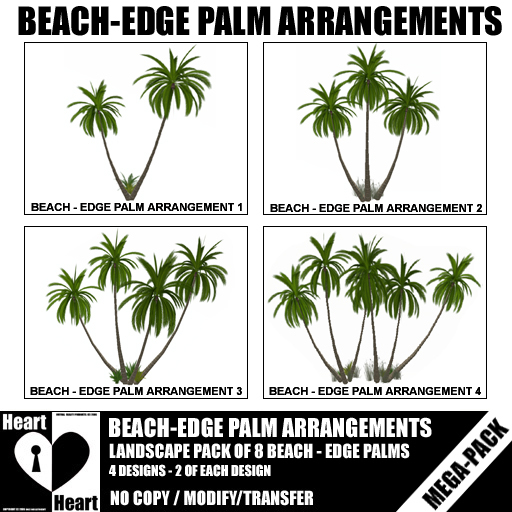 Palms - Tropical Beach Edge Palms