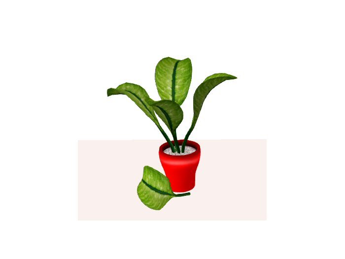 AAA - Cane plant