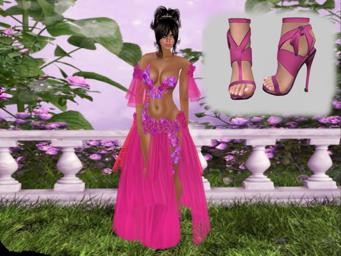 Zennya's Closet Wild Flower Pink Gown with Shoes
