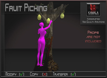 Chores Garden *Fruit Picking* Transferable Poseball