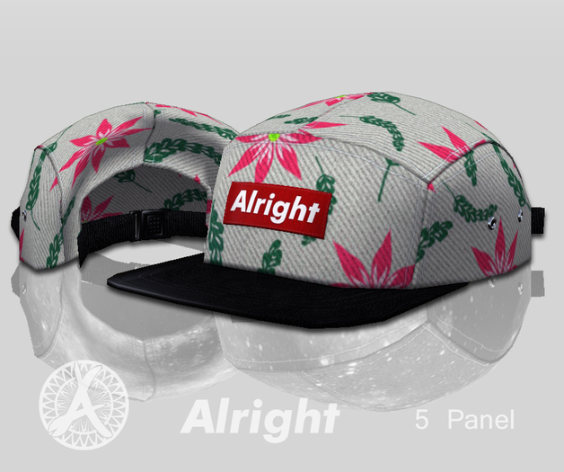  	[Alright] - 5 Panel Cap