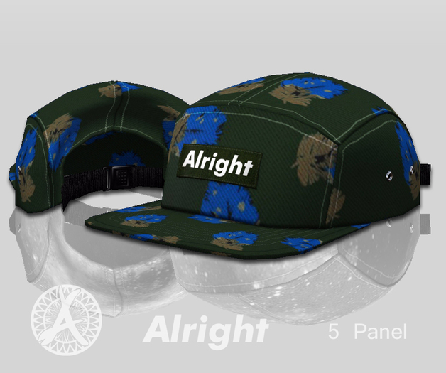  	[Alright] - 5 Panel Cap