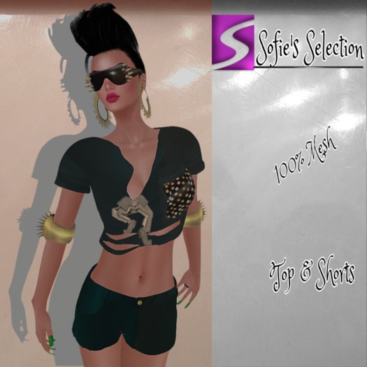 <S> Mesh Teal Outfit