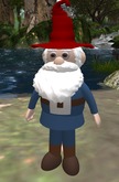 Wingsong Companion - Jerome the Gnome Box