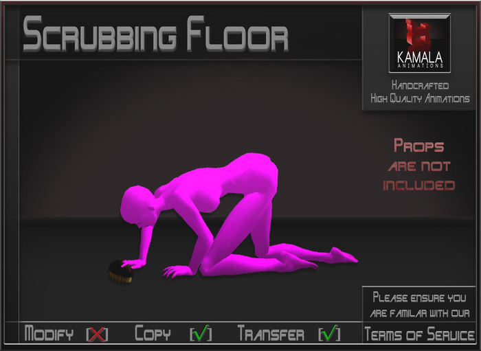 Chores House *Scrubbing Floor* Animations for Builders