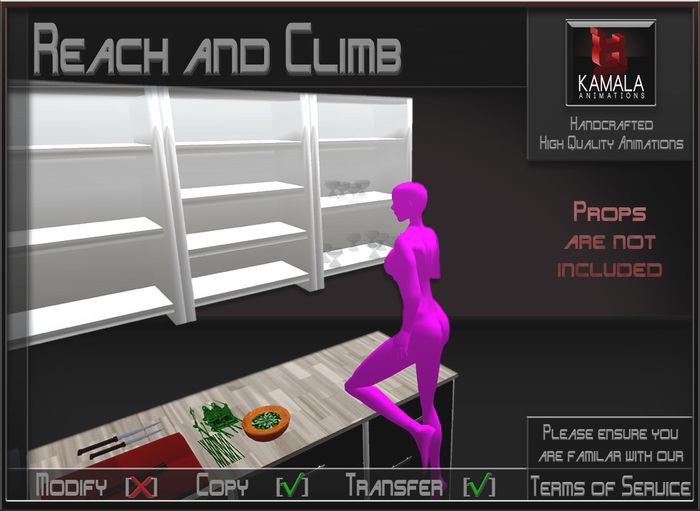 Chores House *Reach and Climb* Animations for Builders