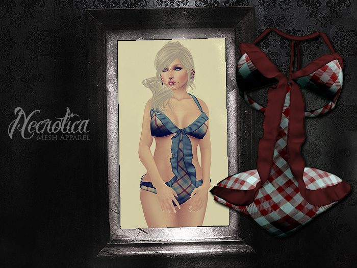 {N} - Swimsuit (Plaid Red/Blue)