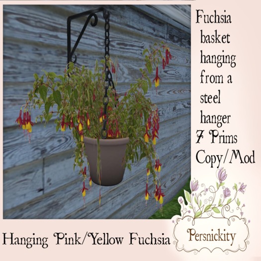 Hanging Pink/Yellow Fuchsia
