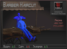 Chores Trades  *Barber Haircut* Transferable Poseballs