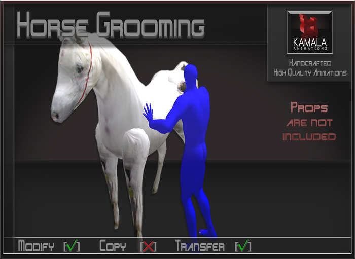 Chores Trades  *Horse Grooming* Transferable Poseball
