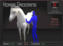 Chores Trades  *Horse Grooming* Transferable Poseball