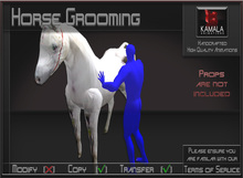 Chores Trades *Horse Grooming* Animations for Builders