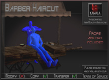 Chores Trades *Barber Haircut* Animations for Builders