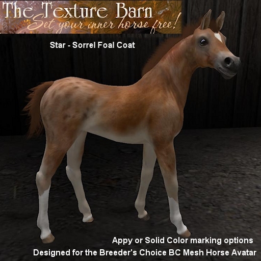BC - Star - Sorrel Foal Texture Pack