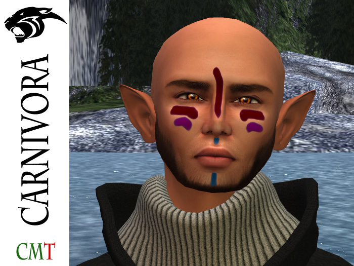 Warpaint - Style 004 - Tintable - 3 Layers - By Carnivora