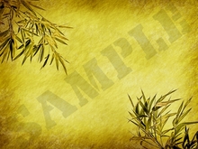 Bamboo paper 1.6 - FULL PERMS Texture