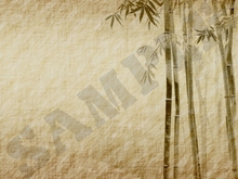 Bamboo paper 1.3 - FULL PERMS Texture