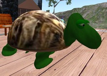 Wingsong Roaming Turtle MultiSit Box