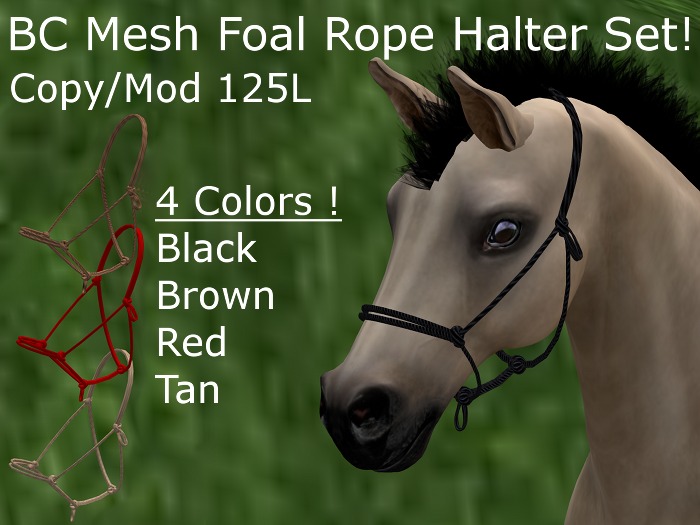 (DD&DE) BC/MFoal Rope Halters Set