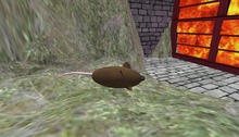 Wingsong Roaming Blind Rat Box