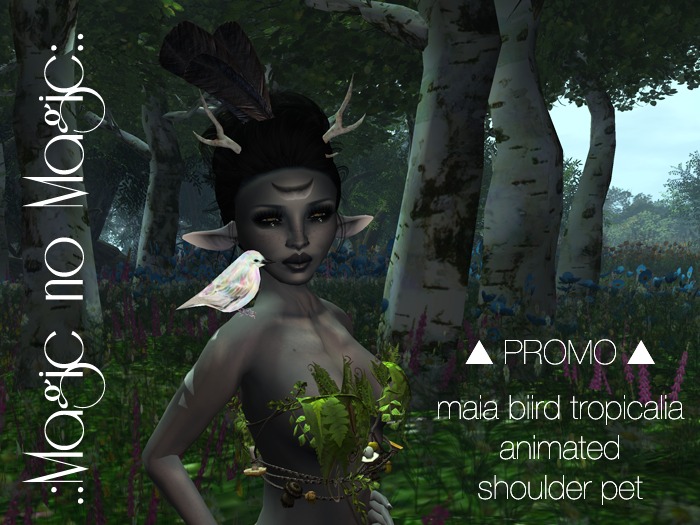 .:Magic no Magic:.  PROMO Animated Shoulder Pet .:. Maia Biird Tropicalia 