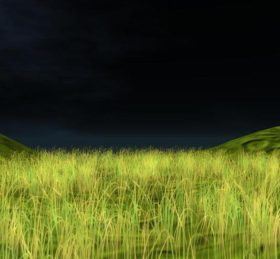 skinny grass lime *otm*