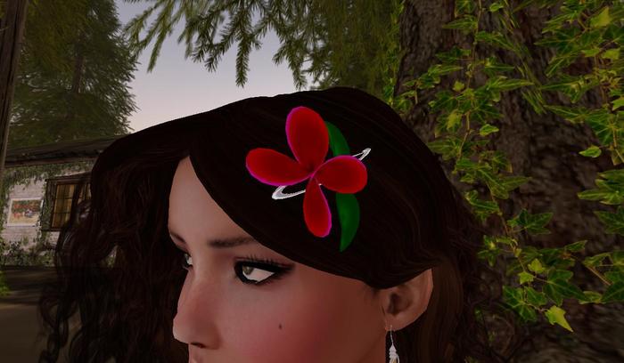 Hair Clips