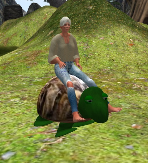 Wingsong Turtle ADD Box