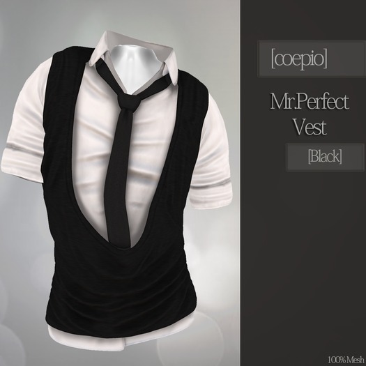 [coepio] Mr.Perfect Vest [Black] 