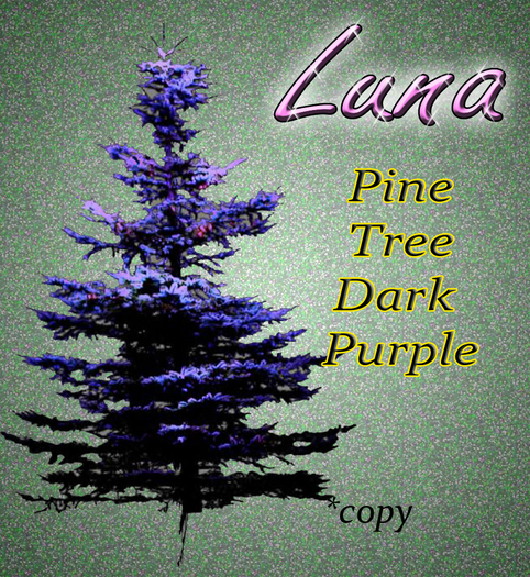 Luna pine tree dark purple