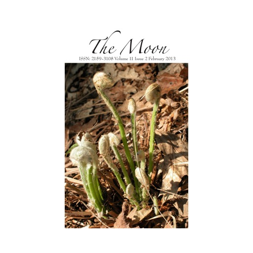 The Moon 1102 February 2013