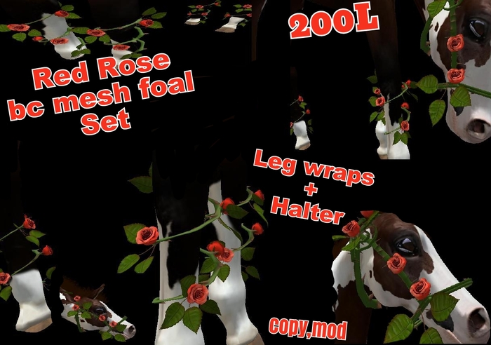 (tc) Rose halter,leg wraps FOAL(unpack)