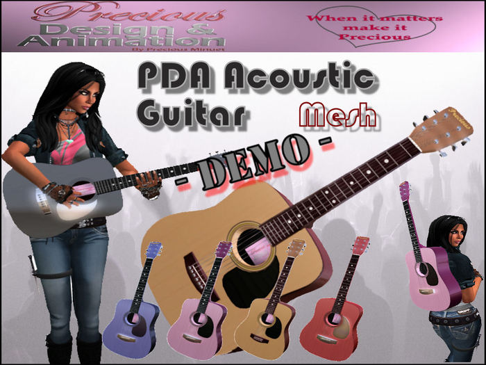PDA Mesh AcousticPro Guitar - DEMO