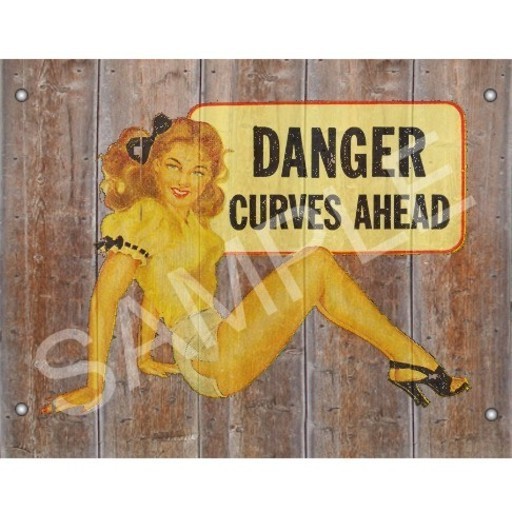 VINTAGE DANGER CURVES AHEAD SIGN mod/trans, cute roadside sign