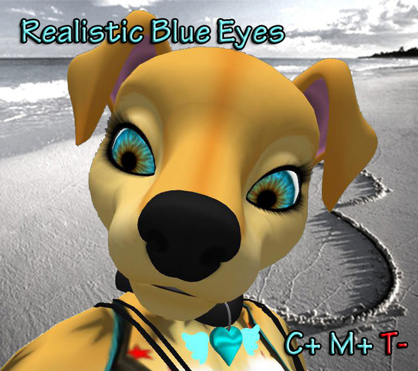 [BB] Realistic Blue Eyes