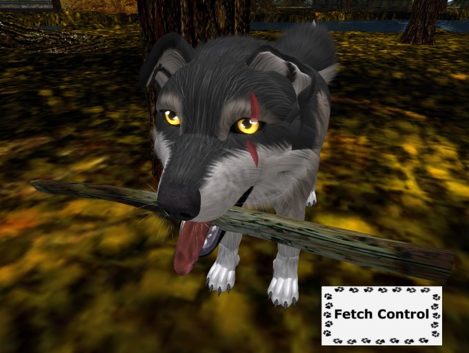 Garn's Fetch System