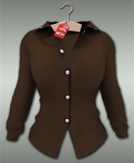 :VIRTISTRY: Pinstripe Blouse (Brown)