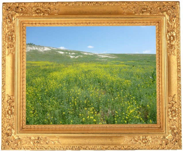 Photo 005 *** GOLDEN FRAME COLLECTION ***