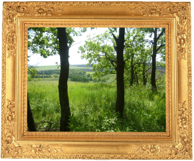 Photo 006 *** GOLDEN FRAME COLLECTION ***