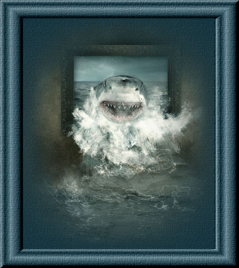 Shark Window Wall Art