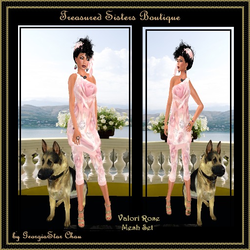 GSC Valorie Rose Mesh Set