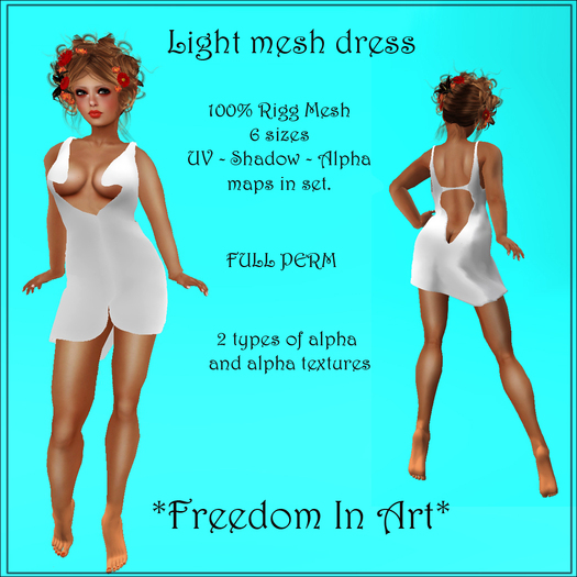 Light mesh dress