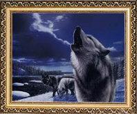 Wolf howling Graphic Art to hang on your wall & framed