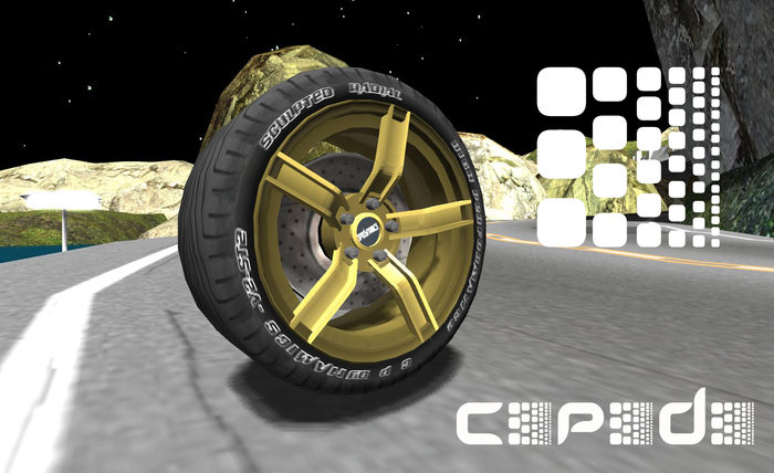 C>P>D>-V50x-meshrim-000.006 (fp)