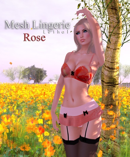 .:Lethal:. Mesh Lingerie [Rose]