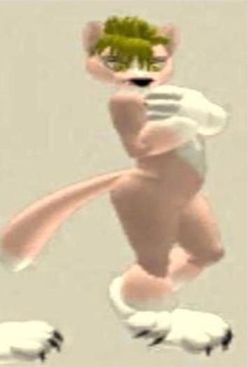 Avatar Pink Kitty - Avatar Gata Rosa