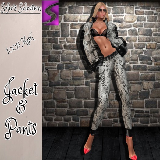<S> Mesh Vogue Silver Outfit