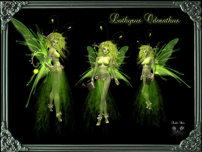 Petite Lathyrus Odoratus  outfit