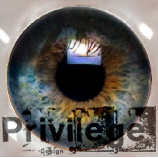 Privilege High Definition Eyes Ocean Rock + Catwa Applier