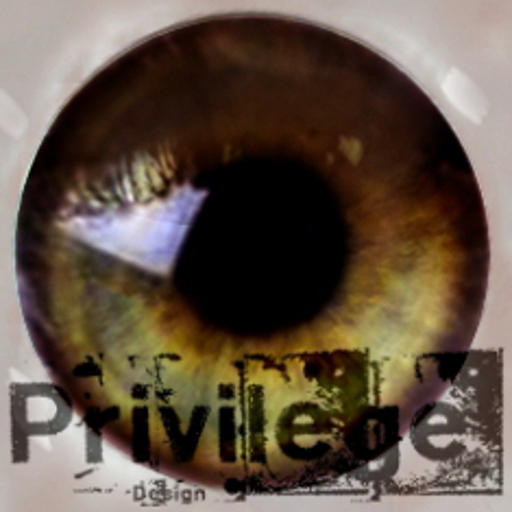 Privilege HD Eyes Toffee